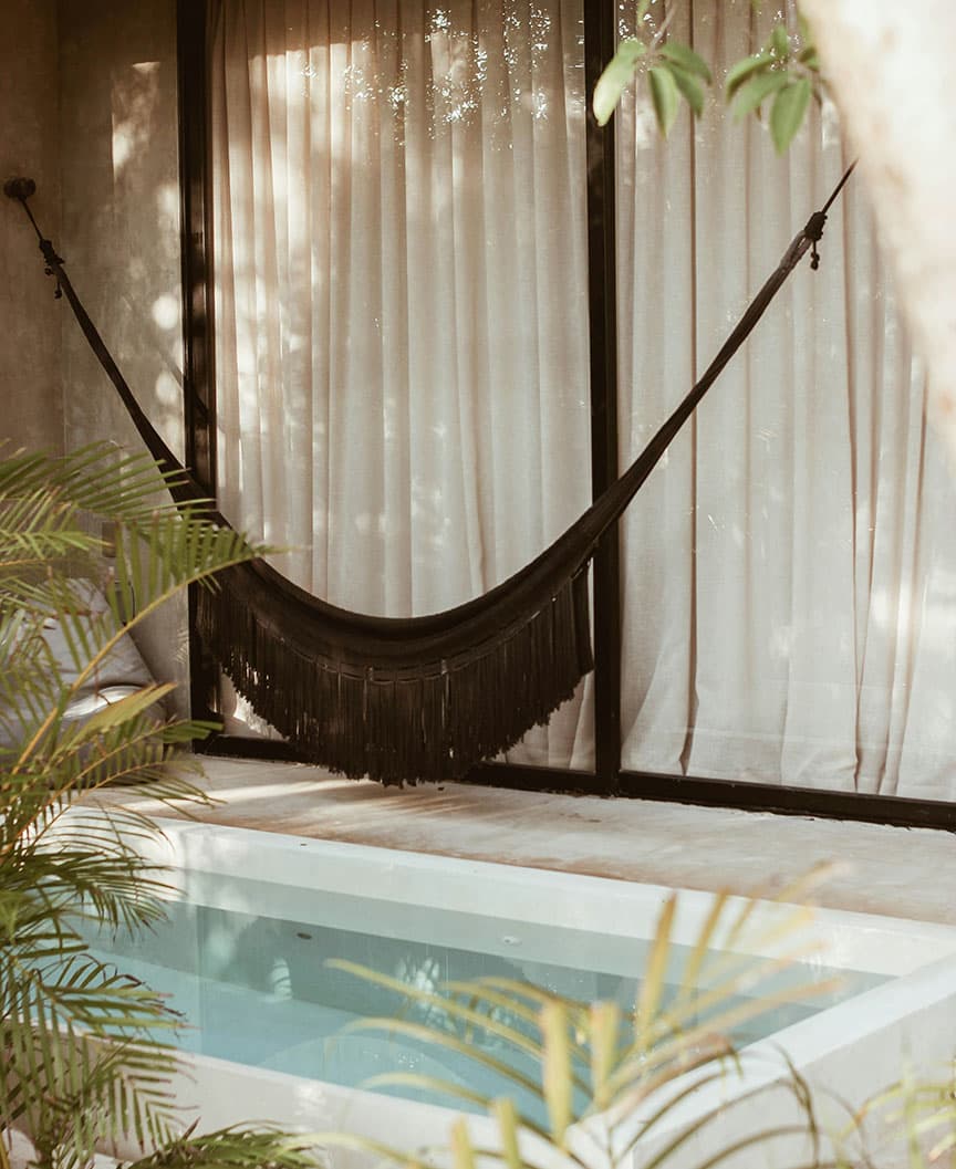 Executive Discretion image