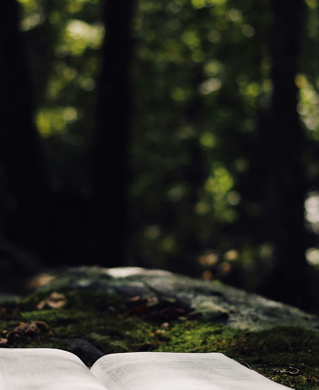 Wellness Support image